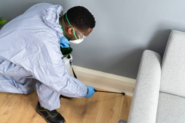 Best Real Estate Pest Inspections  in Gloster, MS